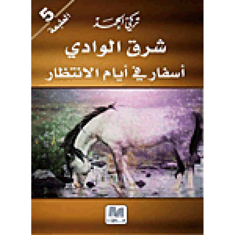 شرق الوادي